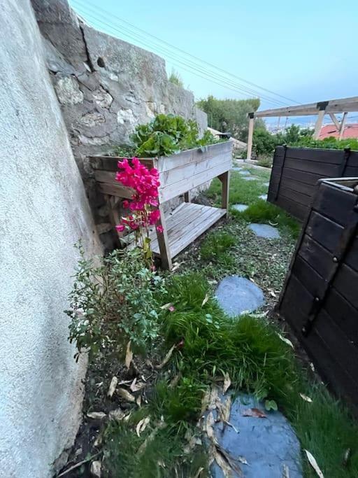 Superbe Terrasse Avec Vue Panoramique Sur La Mer Marseille Kültér fotó