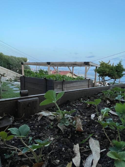 Superbe Terrasse Avec Vue Panoramique Sur La Mer Marseille Kültér fotó
